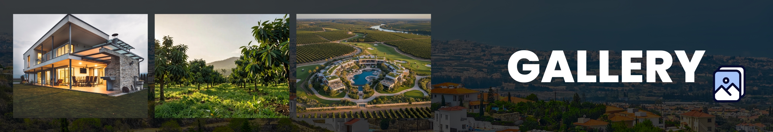 Gallery Background Image